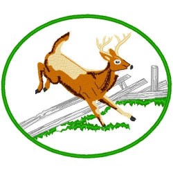 Deer Jump