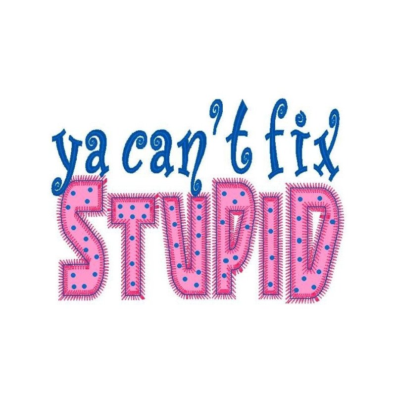 Can't Fix Stupid Can't Fix Stupid